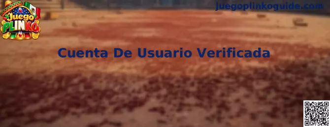 Guía de Cuenta De Usuario Verificada para Juego Plinko