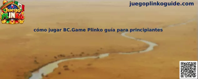 Imagen ilustrativa de la guía para comprender el Juego Plinko de BC.Game, sus filas, bolas y multiplicadores