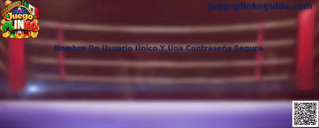 Guía de Juego Plinko para crear un nombre de usuario único y una contraseña segura