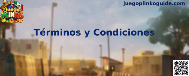 Términos y Condiciones de Juego Plinko